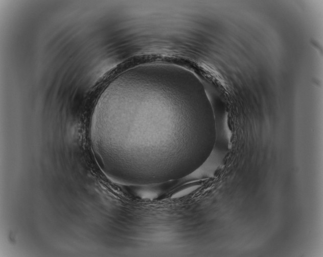 X0000091580872200708271218