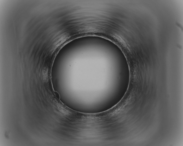 X0000091580873200708271218