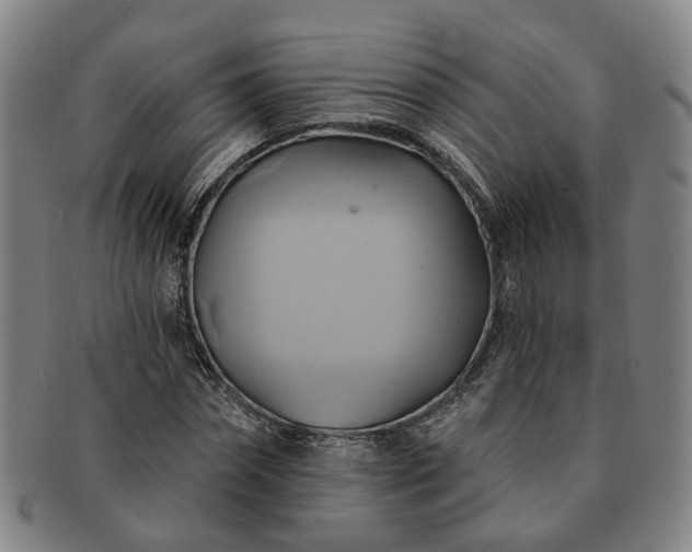 X0000091580874200708271218