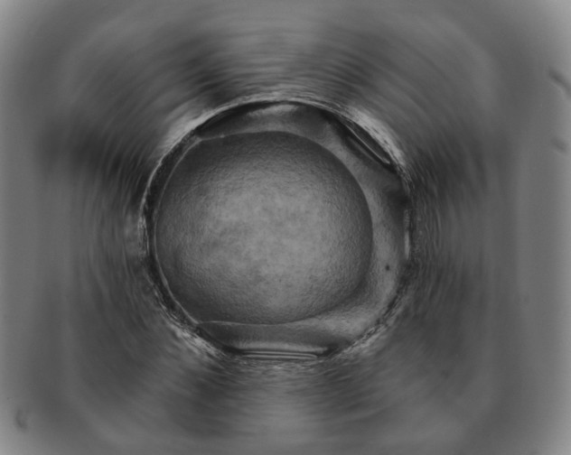X0000091580876200708271218