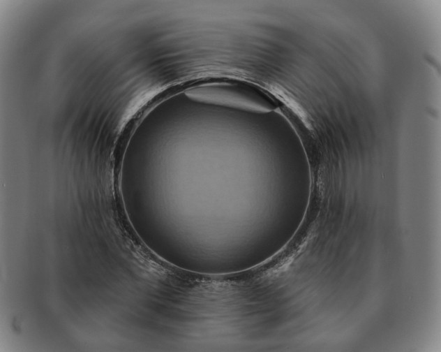 X0000091580877200708271218