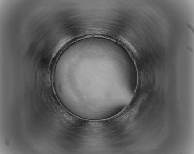 X0000091580878200708271218