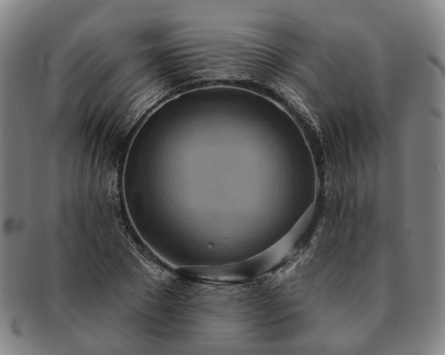X0000091580881200708271218