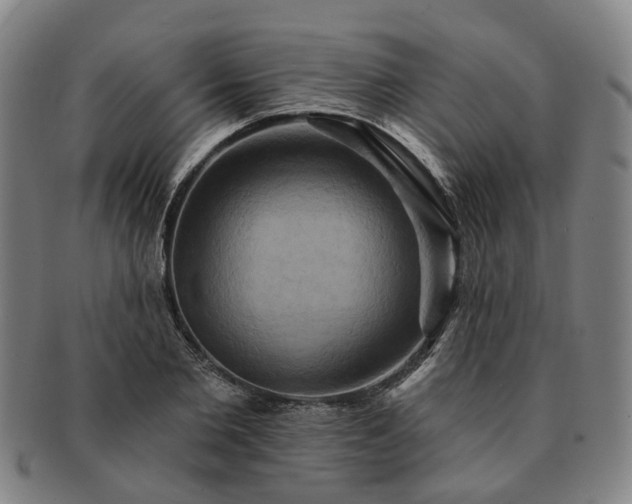 X0000091580885200708271218
