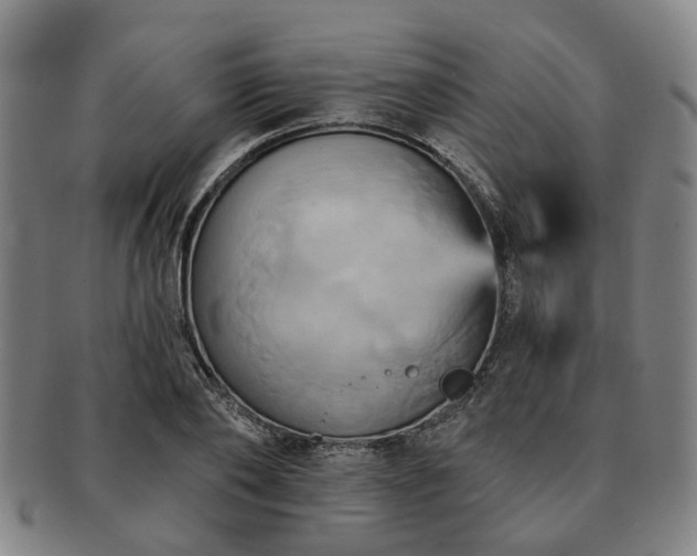 X0000091580886200708271218