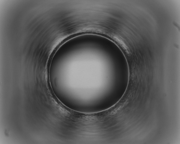 X0000091580888200708271218