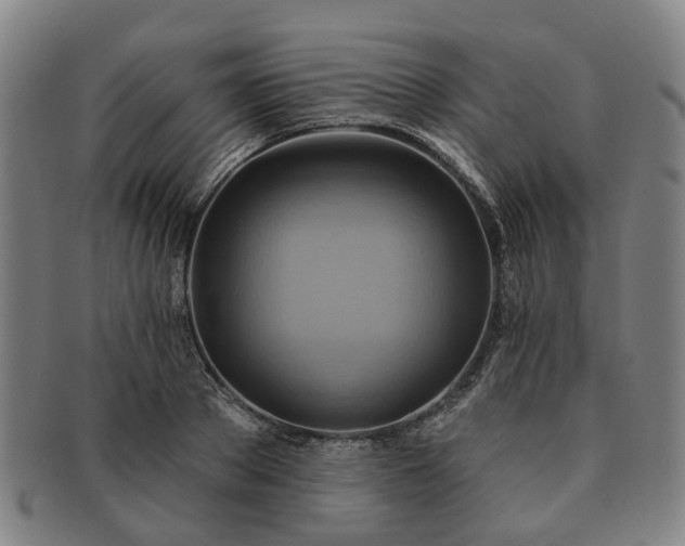 X0000091580889200708271218