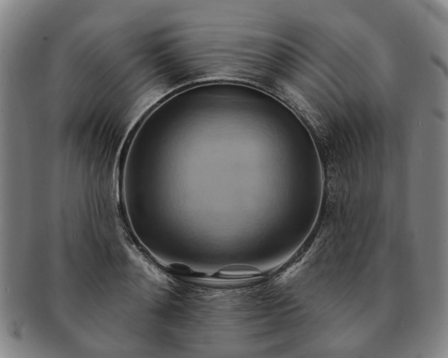 X0000091580892200708271218