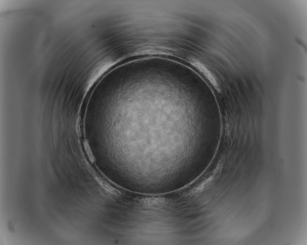 X0000091580893200708271217