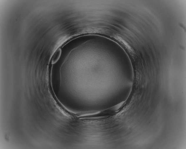 X0000091580894200708271217
