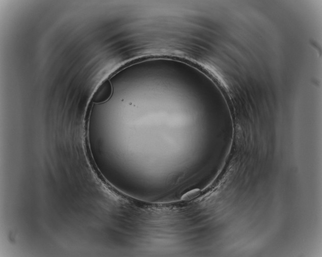 X0000091580895200708271217