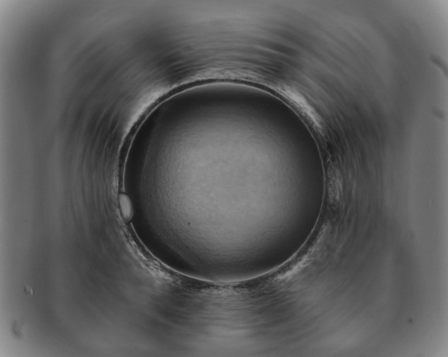 X0000091580896200708271217
