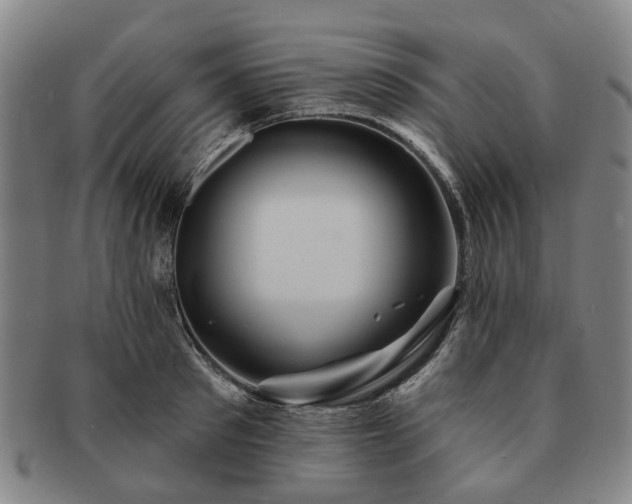 X0000091580897200708271217