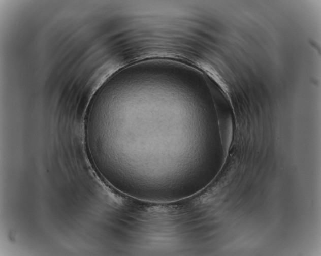 X0000091580898200708271217