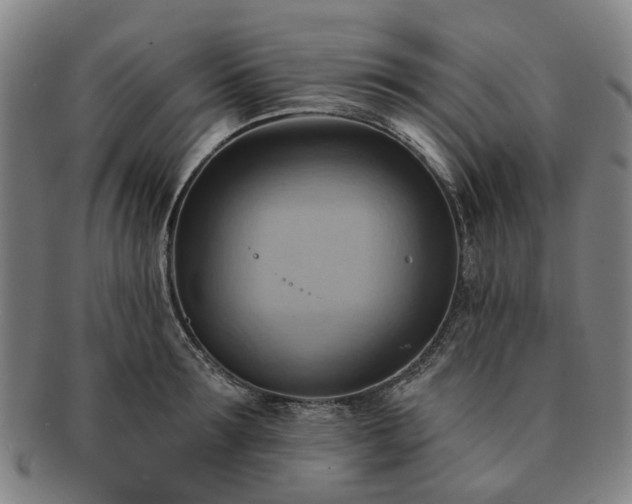 X0000091580899200708271217
