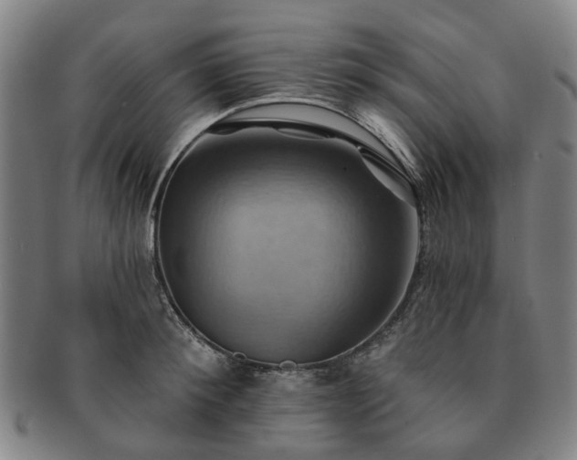 X0000091580900200708271217