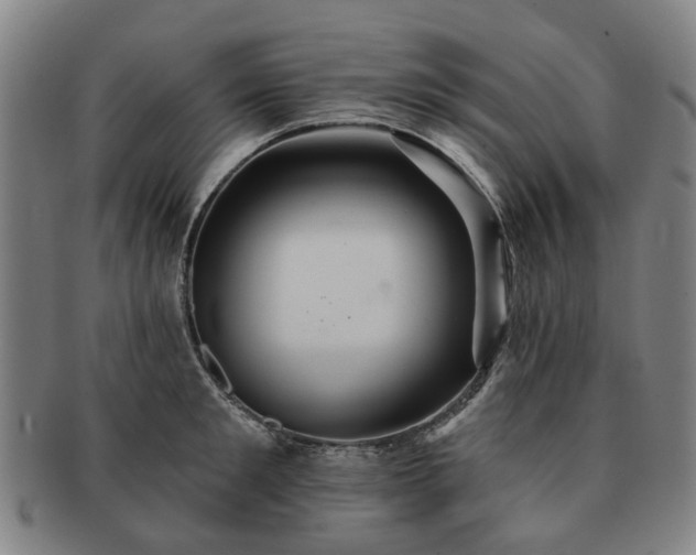 X0000091580901200708271217