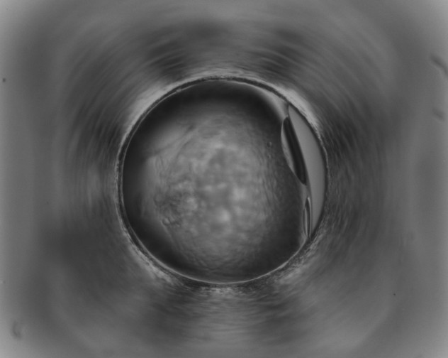X0000091580903200708271217