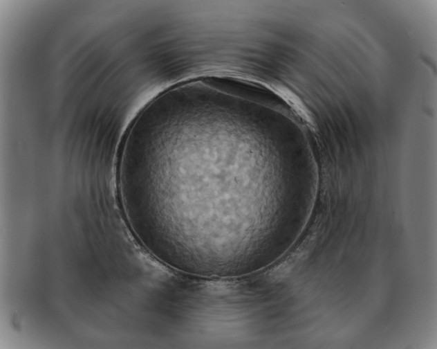 X0000091580904200708271217