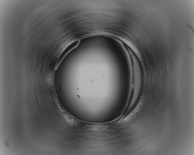 X0000091580905200708271217