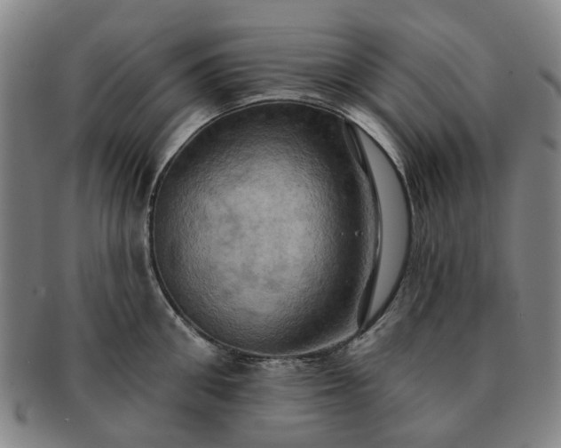 X0000091580906200708271217