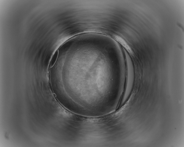 X0000091580908200708271217