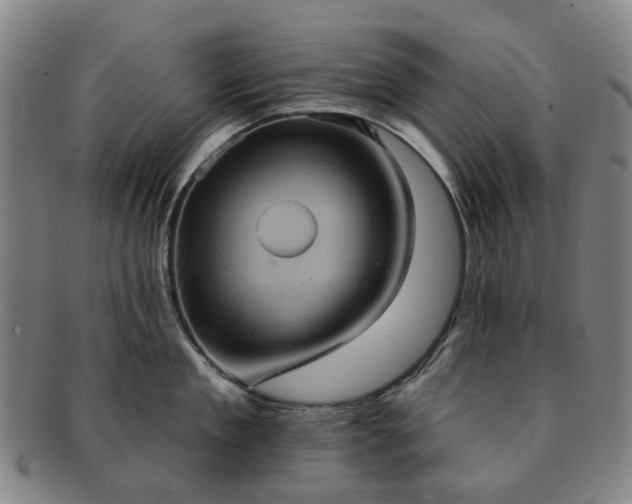 X0000091580909200708271217