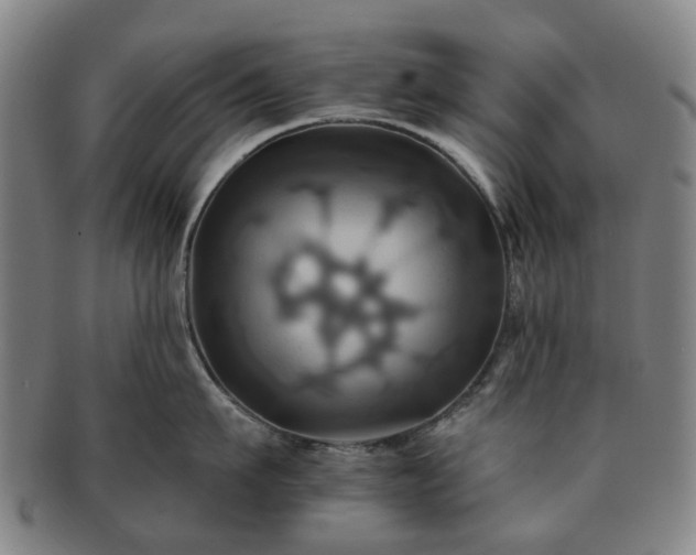 X0000091580911200708271217
