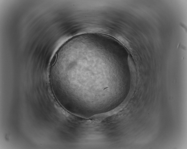 X0000091580912200708271217