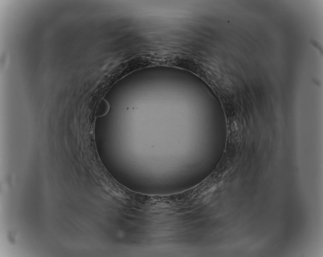 X0000091580913200708271217