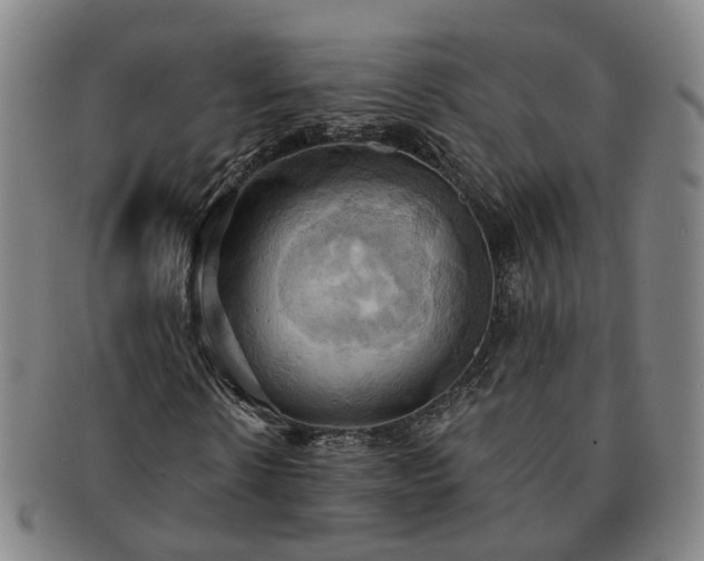 X0000091580914200708271217