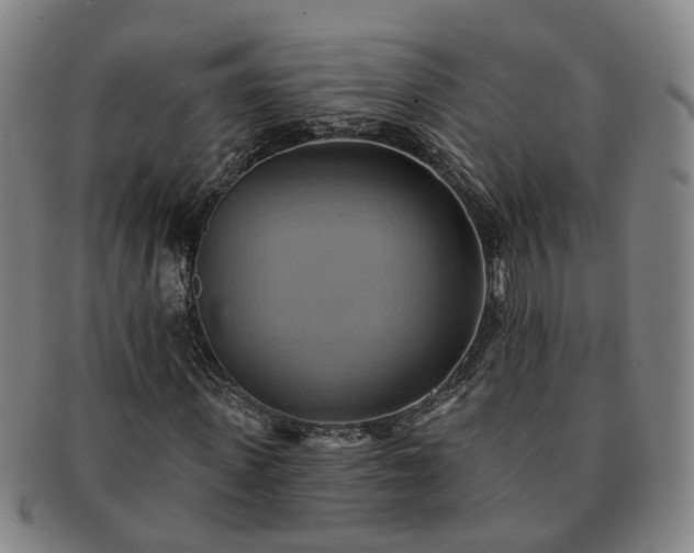X0000091580915200708271217