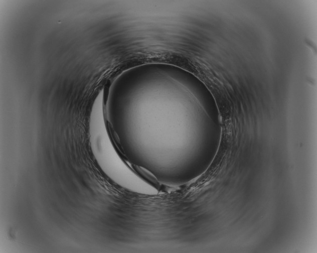X0000091580916200708271217