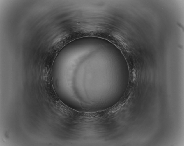X0000091580917200708271217