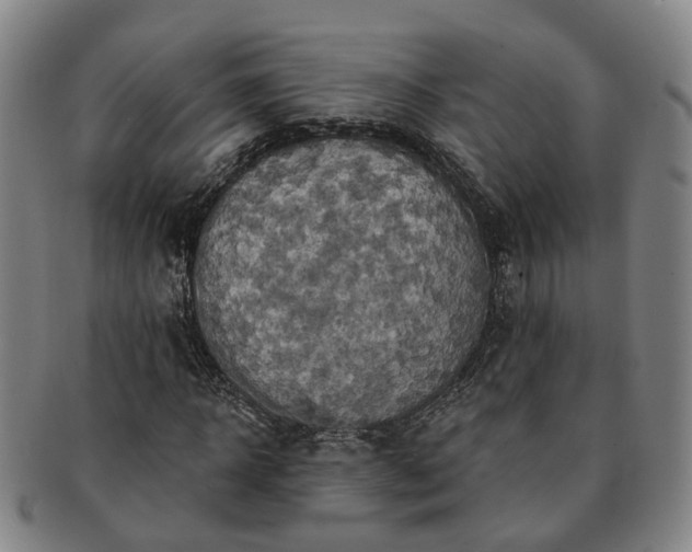 X0000091580918200708271217