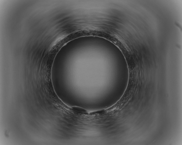 X0000091580919200708271217