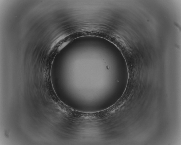 X0000091580920200708271217