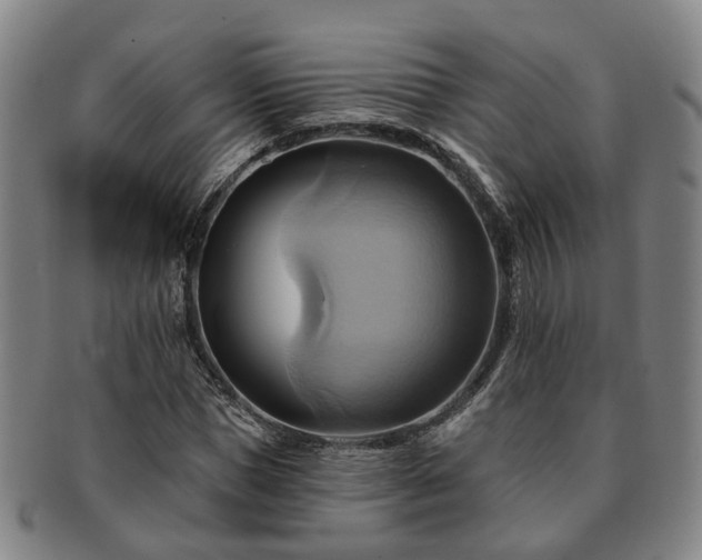 X0000091580921200708271217