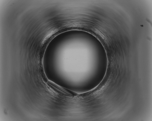 X0000091580922200708271217