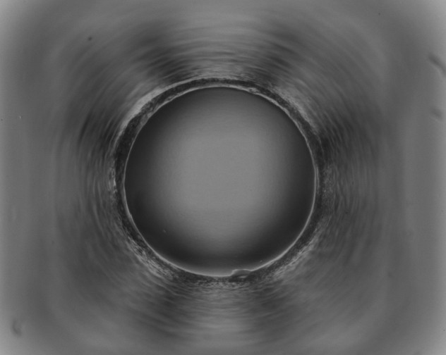 X0000091580923200708271217