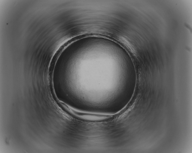 X0000091580924200708271217