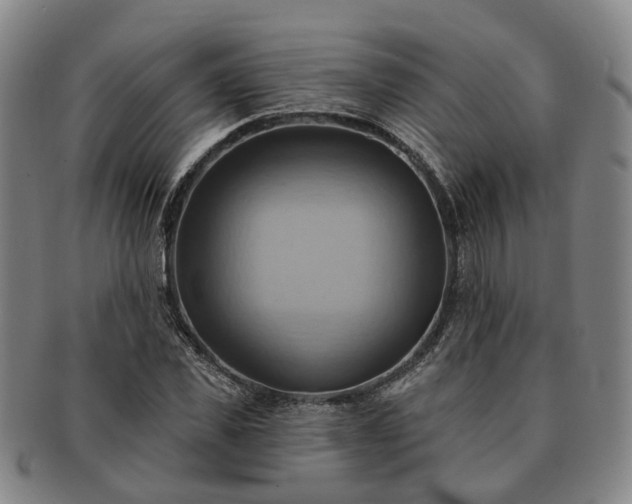X0000091580925200708271217