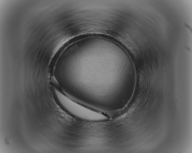 X0000091580926200708271217