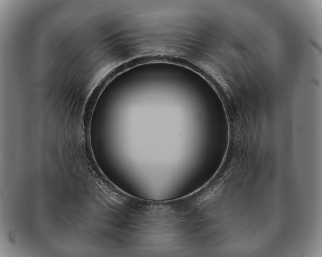 X0000091580927200708271217