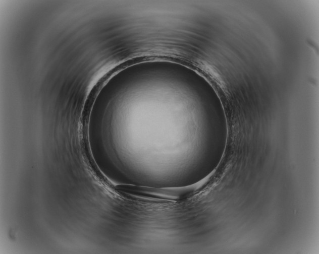 X0000091580928200708271217