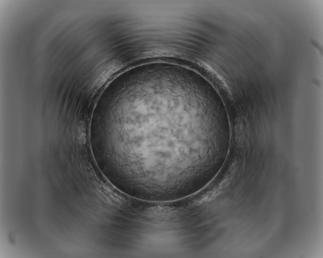 X0000091580929200708271217