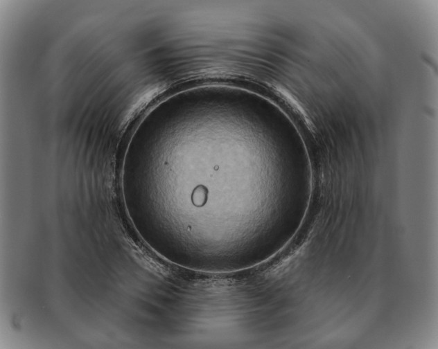 X0000091580930200708271217
