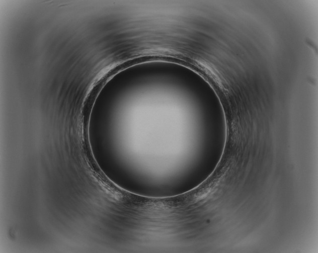 X0000091580931200708271217