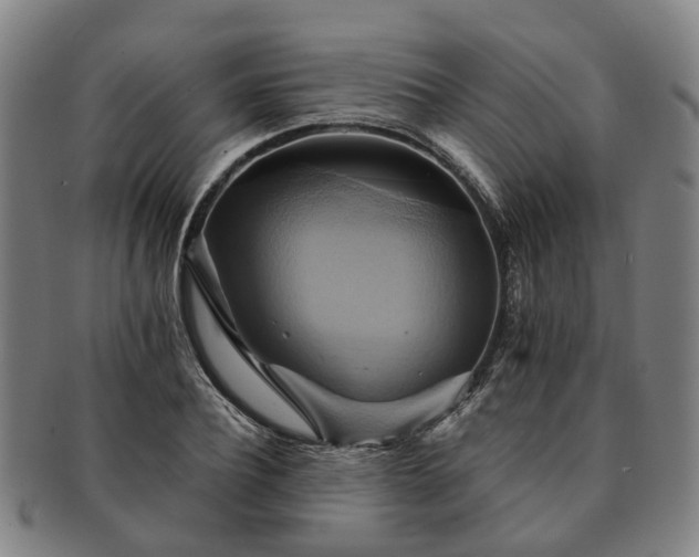 X0000091580932200708271217