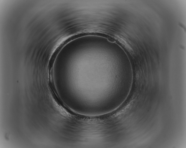 X0000091580934200708271217